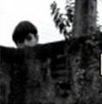 O Muro